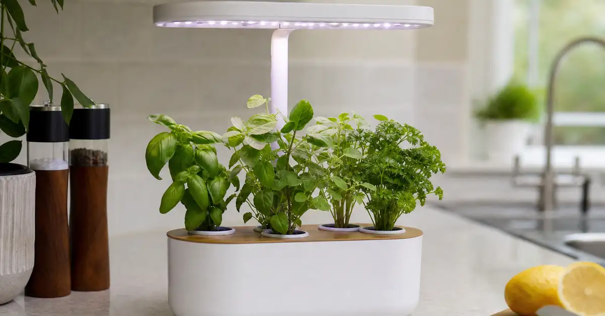 Small hydroponic herb garden kit with a few pods and a compact LED light on a kitchen counter
