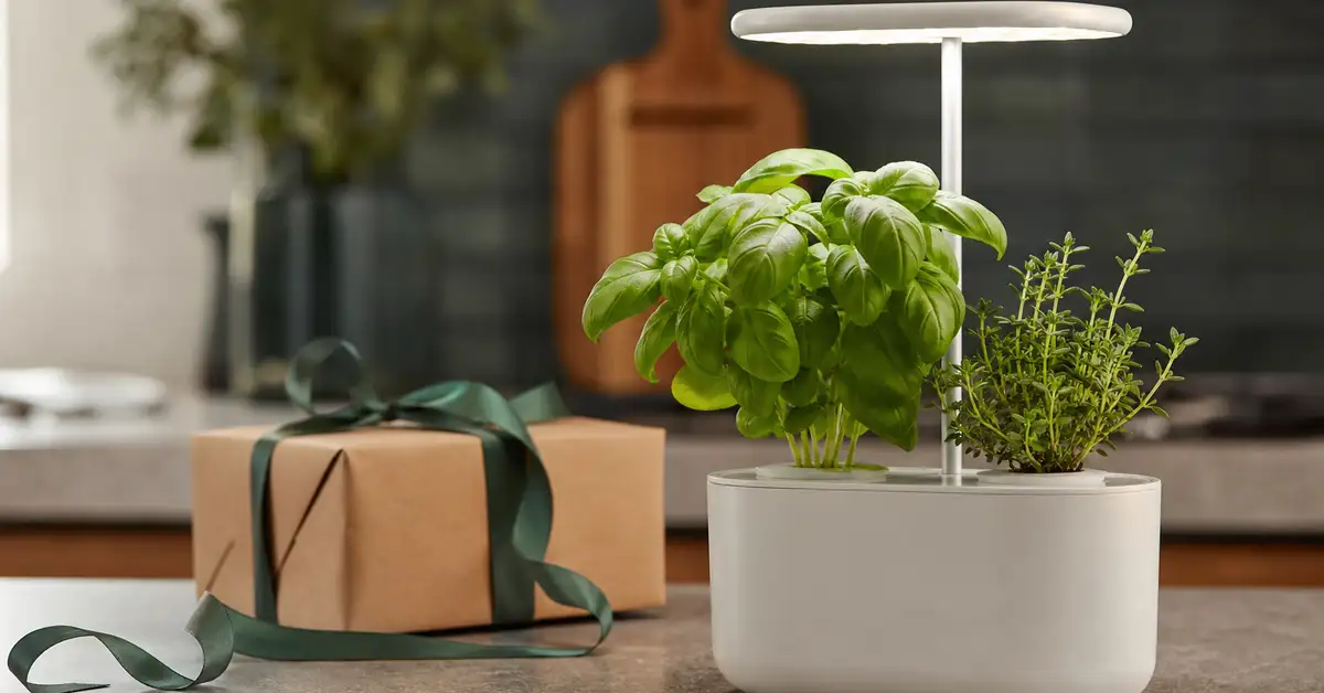 Tiny gift-sized hydroponic herb garden with one or two pods and a small LED light on a counter